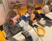 9th MASTER COURSE DIAGNOSIS AND MICROCOPY VULVOVAGINAL DISEASE